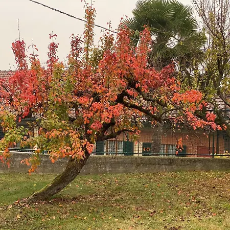 Semesterbostad Al Vecchio Pero, Con Ampio Giardino Privato La Morra